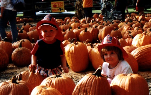 Pumpkins Everywhere!